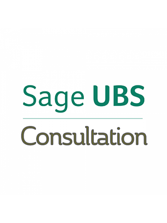 3 hours On-Site Sage UBS Software Consultation